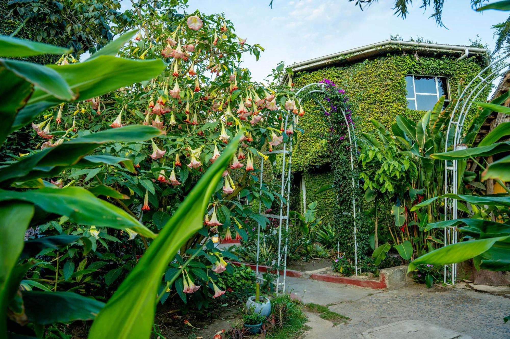 Dan Stam Hotel Arusha Exterior photo