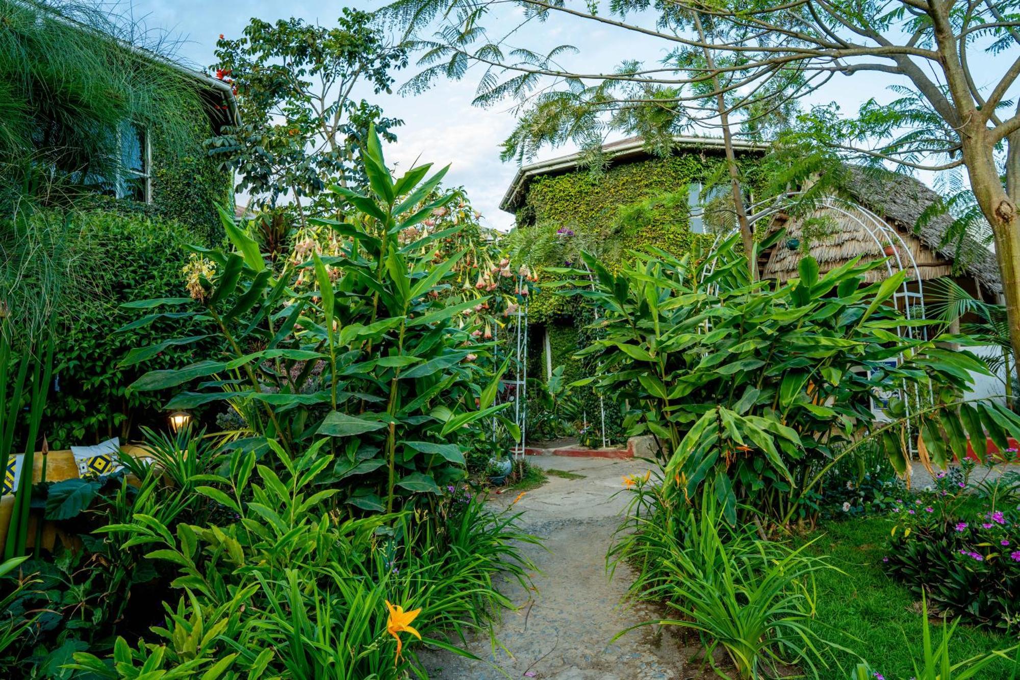 Dan Stam Hotel Arusha Exterior photo